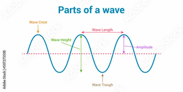 Fototapeta label the parts of a wave vector illustration isolated on white background