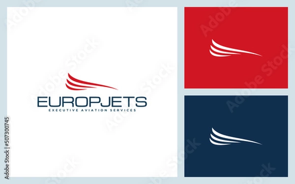 Obraz COMMERCIAL FLIGHT LOGO