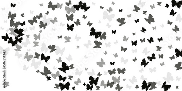 Obraz Exotic black butterflies abstract vector wallpaper. Spring vivid moths. Simple butterflies abstract children illustration. Delicate wings insects patten. Nature beings.