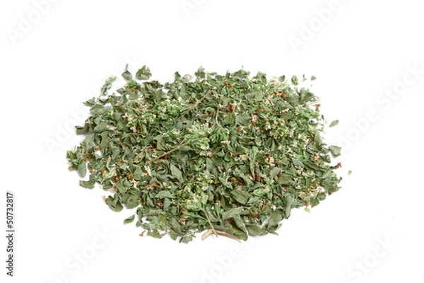 Obraz Foglie e fiori di origano  - Leaves and flowers of Oregano