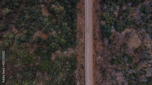Obraz Road through the forest