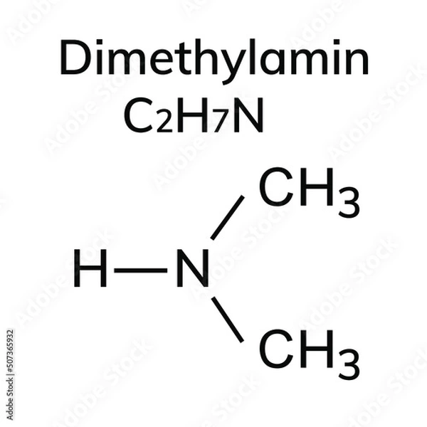Fototapeta Chemical structural formulas on white background