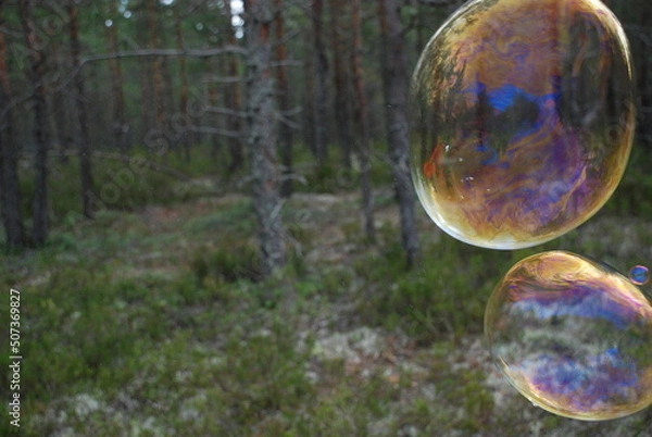 Fototapeta Large soap bubbles in the air. Against the background of tall green trees, large rounded soap bubbles fly. Trees are reflected on the thin surface of the bubble and all colors of the rainbow shimmer.