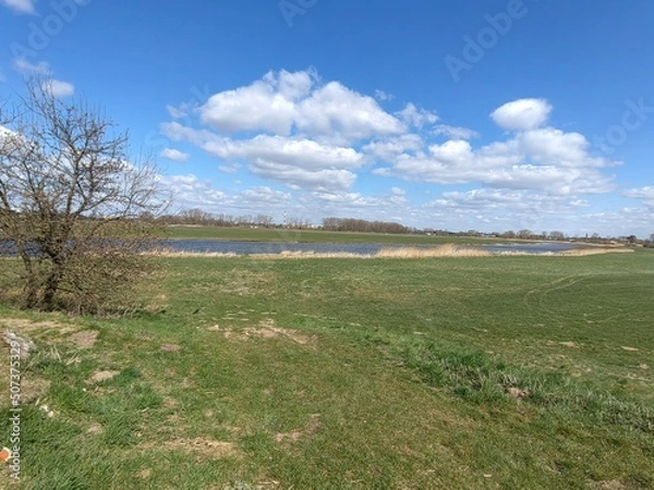 Fototapeta landscape with river 