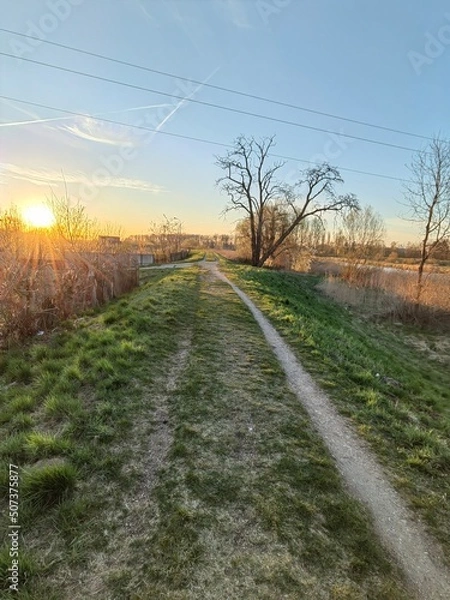 Obraz road in the field