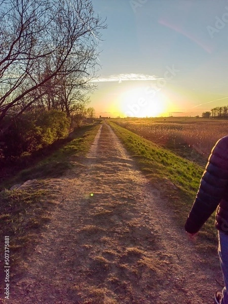 Obraz walking on the road