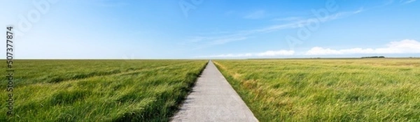 Obraz Endless road along green grassland