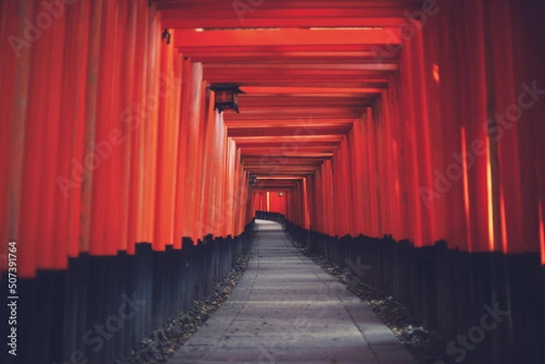 Fototapeta 伏見稲荷大社 京都府