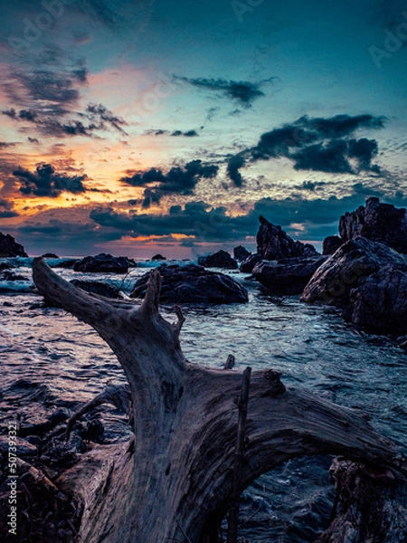 Obraz 流木と朝焼け