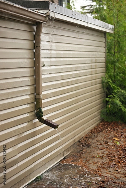 Fototapeta Rain Water Pours Out of a Short Downspout on side of house pooling by foundation