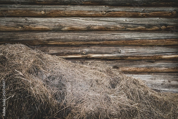 Fototapeta A pile of straw against a wooden wall. The old barn wall. Rustic background with a place to record.
