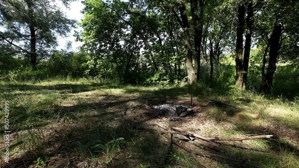 Obraz river in the forest