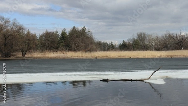 Obraz river in the forest