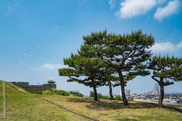 Fototapeta 화성과 수원