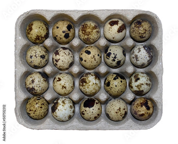 Obraz Quail eggs in a box (isolate)