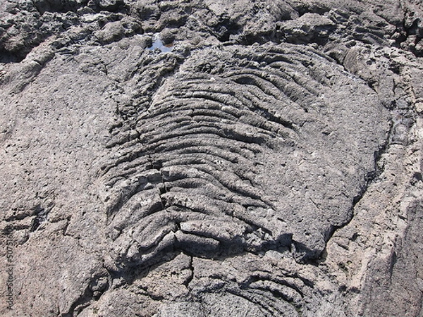 Fototapeta Solidified lava ripples. Black volcanic rock with frozen lava waves from Onekahakaha beach park, Hilo, Hawaii.