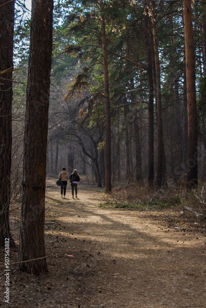 Obraz Walk in the spring forest. Spring forest