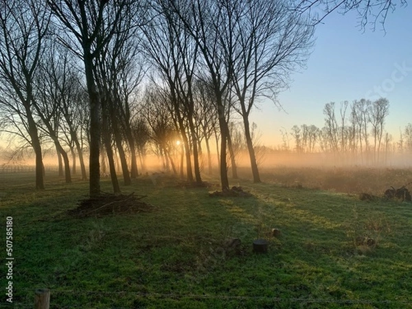 Obraz Winter sunrise