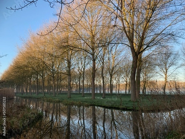 Obraz Trees in winter