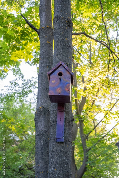Fototapeta The funny painted birdhouses on the tree. Handmade wooden nesting box.