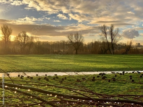 Obraz landscape with ducks