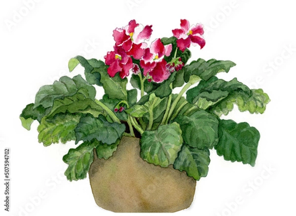 Obraz 花の絵／セントポーリア。花の表情を華やかにかわいく素敵に表現した水彩画です。花好きな一人の作家による作品集です。