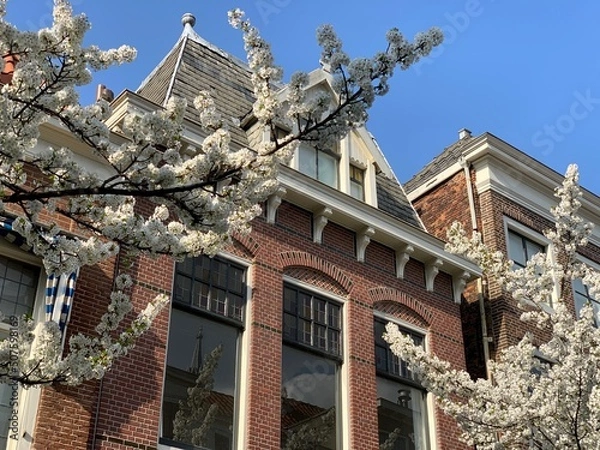 Obraz Blooming tree in Delft