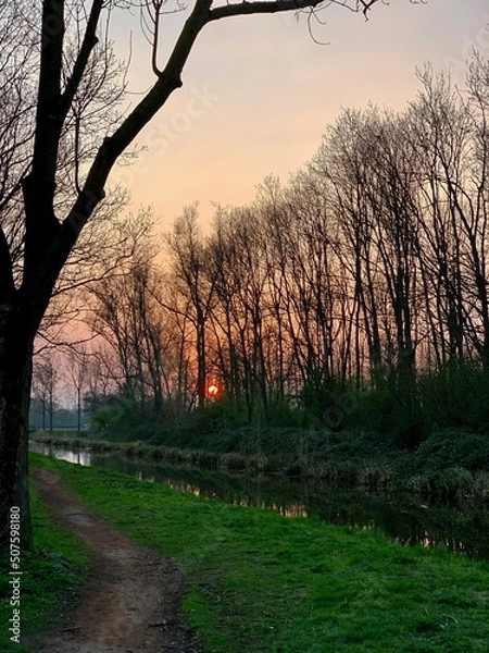 Obraz Sunset behind trees