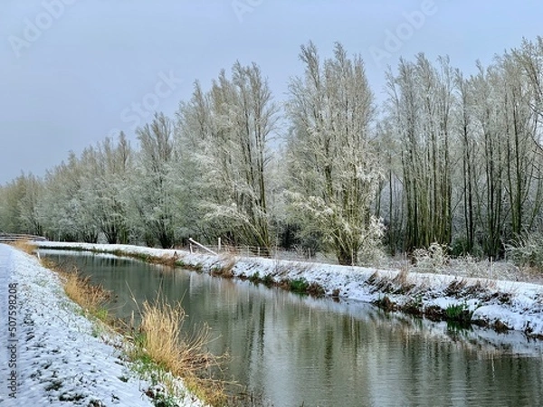 Obraz Snowy landscape