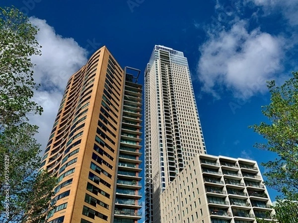 Obraz skyline Rotterdam