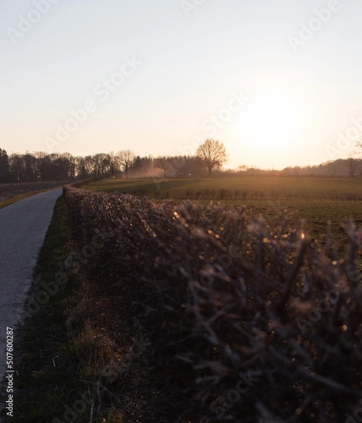 Obraz Limburg region sunset biking