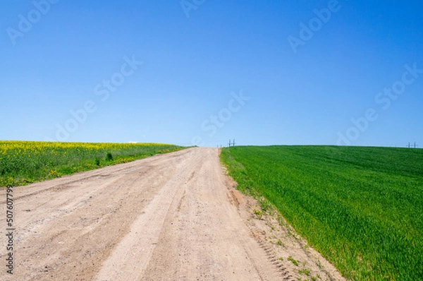 Fototapeta Beautiful summer agro landscape with a road, rapeseed fields and meadows