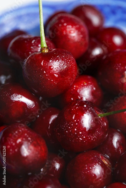 Fototapeta Close up of pile of ripe cherries. fresh red cherries. Ripe cherries background