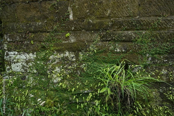 Obraz ブロック塀