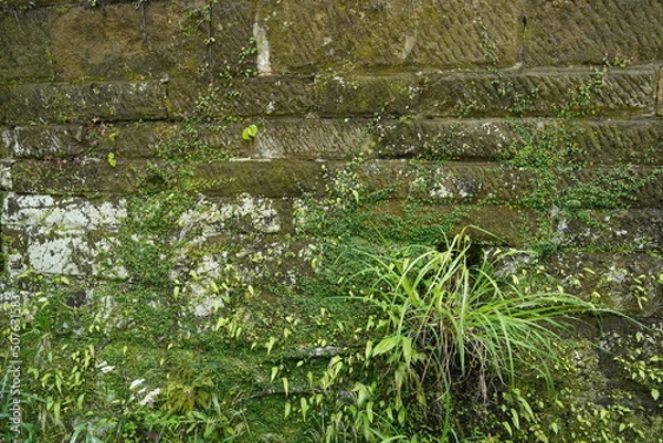 Obraz ブロック塀