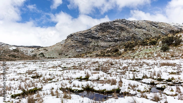 Obraz Moors, mountains, snow and lakes in the Los Nevados National Natural Park, in Manizales Caldas Colombia.