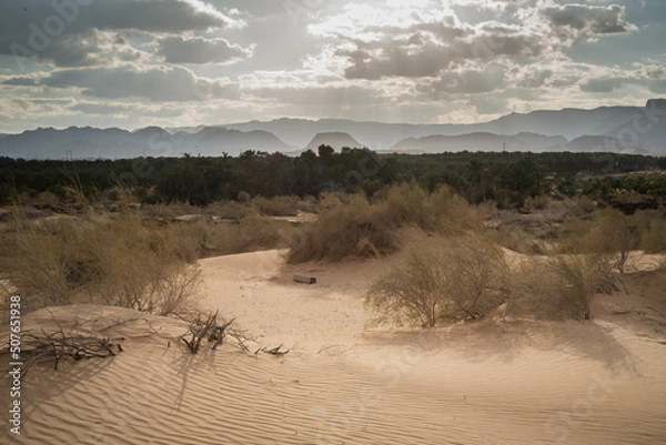 Obraz Israël - Samar
