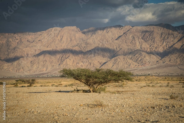 Obraz Israël - Samar