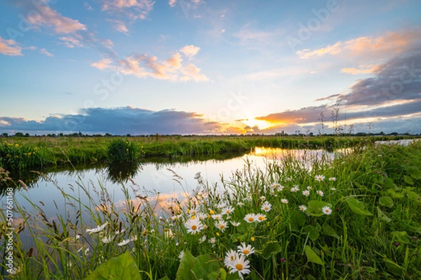 Fototapeta The sun sets over the Dutch polder landscape near Gouda, Holland