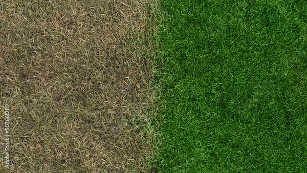 Obraz lawn fertilizer before and after landscaping growing sward 3D illustration