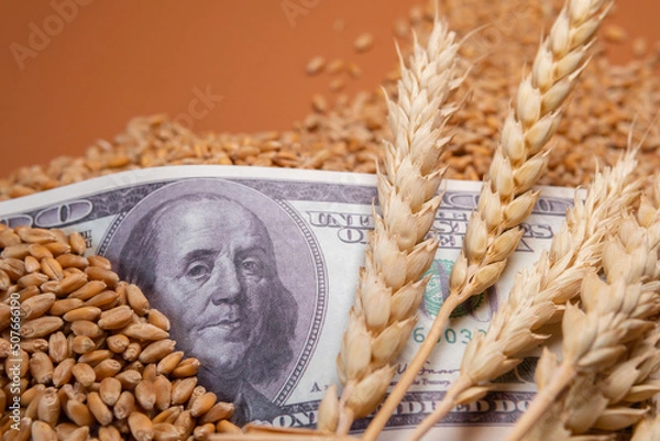 Fototapeta Dollar against the background of wheat grains. The concept is the global food crisis, exports, imports. The issue of harvest in different countries of the world, the impact of sanctions.