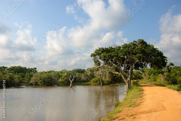 Obraz Wildlife Panorama