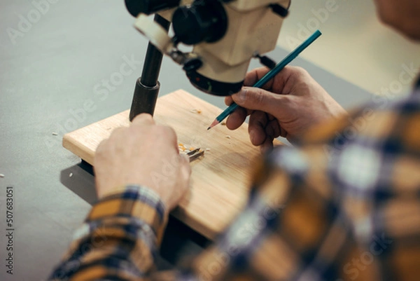 Fototapeta A man looks through a microscope (pea seeds)