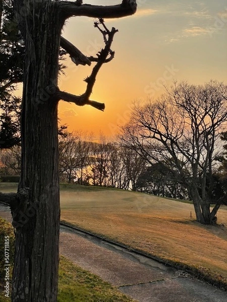 Obraz 夕陽の反映