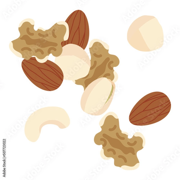 Obraz ナッツのイラスト