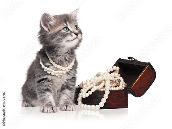 Obraz Kitten with pearl
