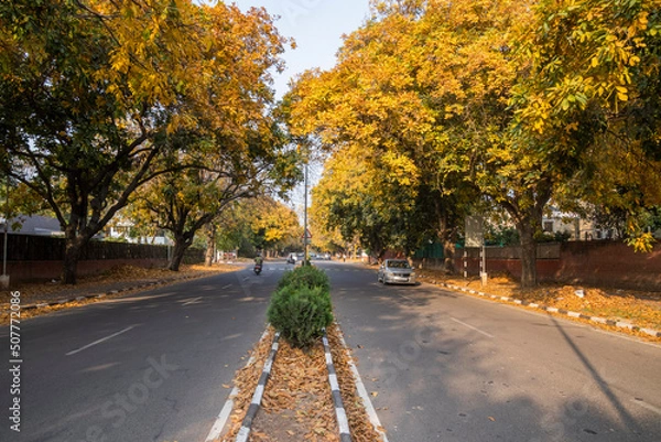 Fototapeta Roads of Chandigarh in the Fall