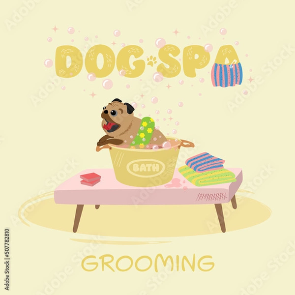 Obraz illustration with dog for grooming salon.