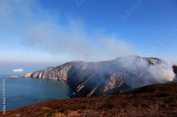 Fototapeta Heath Fire