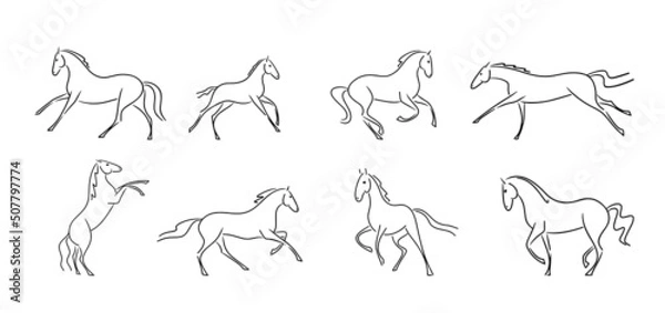 Fototapeta Vector line set of silhouettes horses
